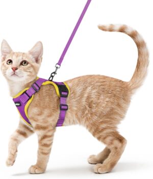 rabbitgoo Cat Harness and Leash Set, Escape Proof Vest, Black