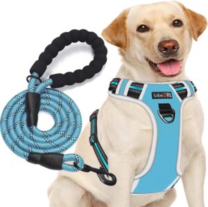 Adjustable No-Pull Dog Harness – Reflective Oxford Fabric