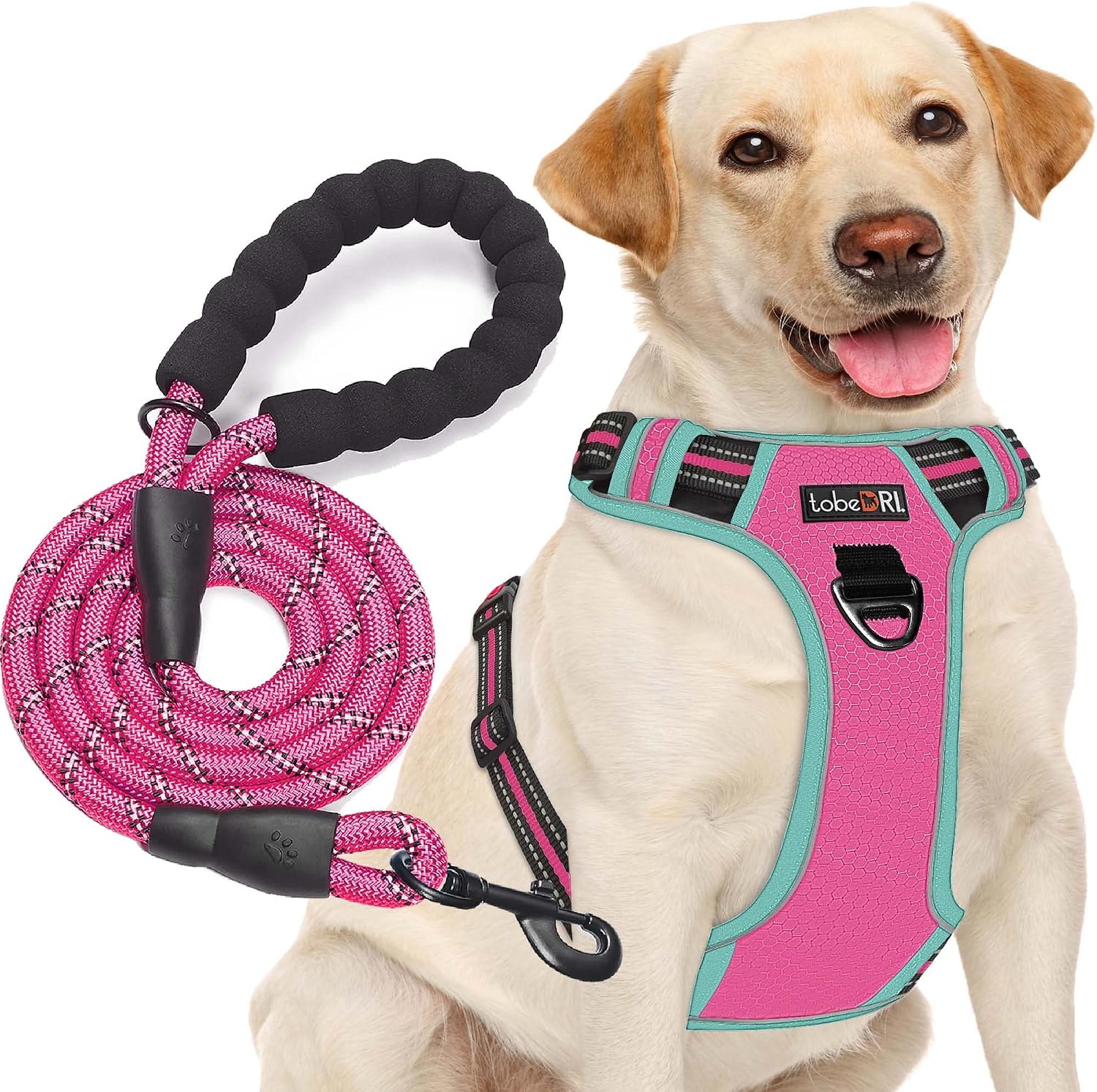 Adjustable No-Pull Dog Harness – Reflective Oxford Fabric - Image 7